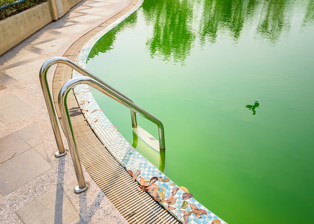 How to clean a green pool | Perth Pool Solutions WA